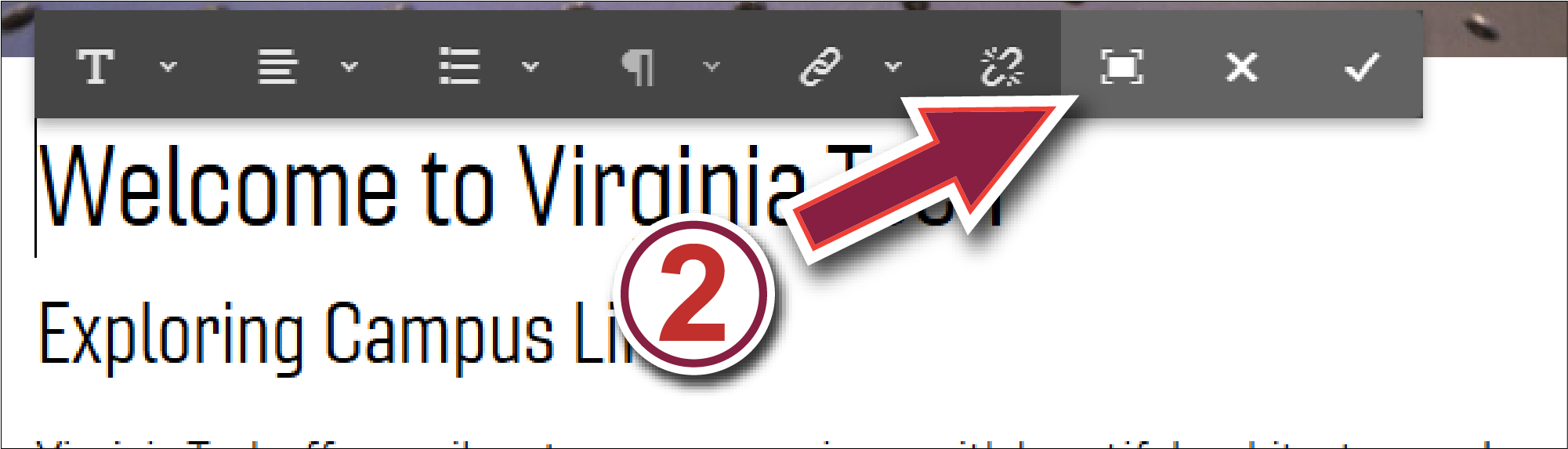 The Ensemble editor; The 'Edit' button from the previous image has been selected so that the Editor menu bar pops up. The 'Fullscreen' button is highlighted.