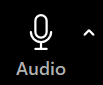 screenshot of zoom's audio button