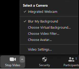 Zoom; video options menu